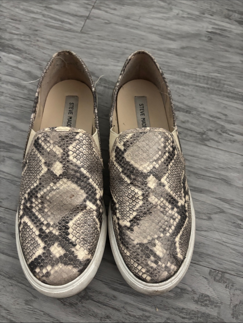 Steve Madden Snake-Print Slip-On Sneakers- Women’s 9.5